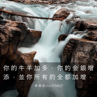 Picture 03 - 申 命 記 8:13 CUVT - 你 的 牛 羊 加 多 ， 你 的 金 銀 增 - Bible Verse Picture