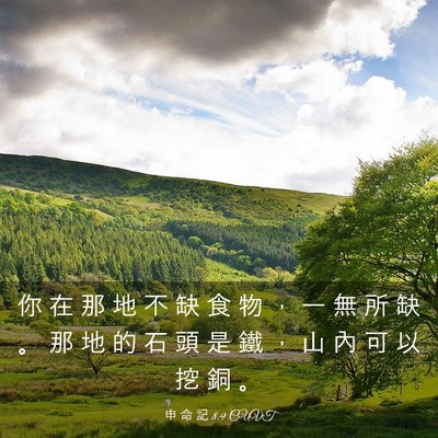 Picture 03 - 申 命 記 8:9 CUVT - 你 在 那 地 不 缺 食 物 ， 一 無 所 - Bible Verse Picture