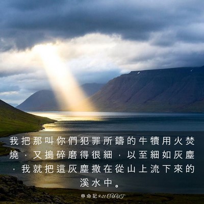 Picture 03 - 申 命 記 9:21 CUVT - 我 把 那 叫 你 們 犯 罪 所 鑄 的 牛 - Bible Verse Picture