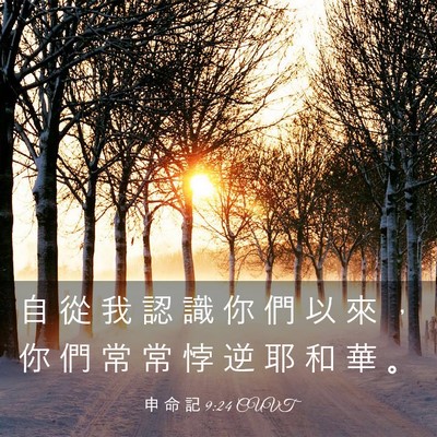 Picture 03 - 申 命 記 9:24 CUVT - 自 從 我 認 識 你 們 以 來 ， 你 們 - Bible Verse Picture
