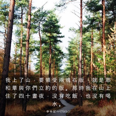 Picture 03 - 申 命 記 9:9 CUVT - 我 上 了 山 ， 要 領 受 兩 塊 石 版 - Bible Verse Picture