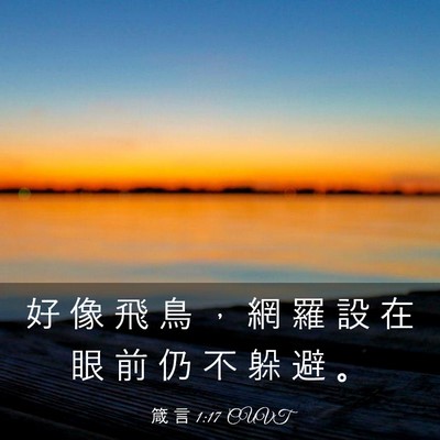 Picture 03 - 箴 言 1:17 CUVT - 好 像 飛 鳥 ， 網 羅 設 在 眼 前 仍 - Bible Verse Picture