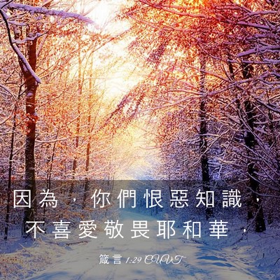 Picture 03 - 箴 言 1:29 CUVT - 因 為 ， 你 們 恨 惡 知 識 ， 不 喜 - Bible Verse Picture
