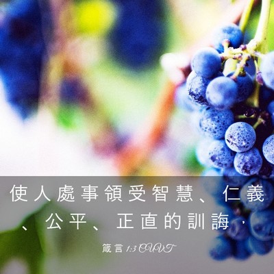 Picture 03 - 箴 言 1:3 CUVT - 使 人 處 事 領 受 智 慧 、 仁 義 、 - Bible Verse Picture
