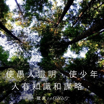Picture 03 - 箴 言 1:4 CUVT - 使 愚 人 靈 明 ， 使 少 年 人 有 知 - Bible Verse Picture