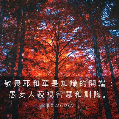 Picture 03 - 箴 言 1:7 CUVT - 敬 畏 耶 和 華 是 知 識 的 開 端 ； - Bible Verse Picture