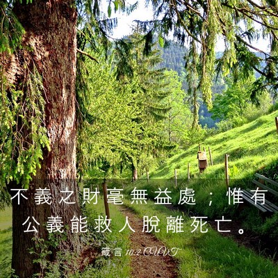 Picture 03 - 箴 言 10:2 CUVT - 不 義 之 財 毫 無 益 處 ； 惟 有 公 - Bible Verse Picture