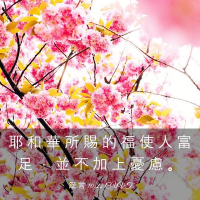 Picture 03 - 箴 言 10:22 CUVT - 耶 和 華 所 賜 的 福 使 人 富 足 ， - Bible Verse Picture
