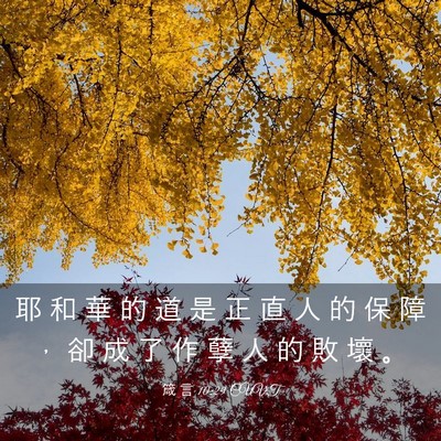 Picture 03 - 箴 言 10:29 CUVT - 耶 和 華 的 道 是 正 直 人 的 保 障 - Bible Verse Picture