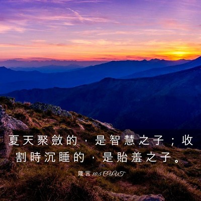 Picture 03 - 箴 言 10:5 CUVT - 夏 天 聚 斂 的 ， 是 智 慧 之 子 ； - Bible Verse Picture