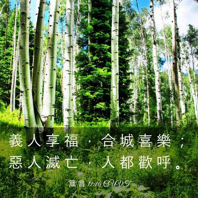Picture 03 - 箴 言 11:10 CUVT - 義 人 享 福 ， 合 城 喜 樂 ； 惡 人 - Bible Verse Picture