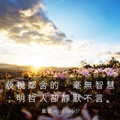 Picture 03 - 箴 言 11:12 CUVT - 藐 視 鄰 舍 的 ， 毫 無 智 慧 ； 明 - Bible Verse Picture