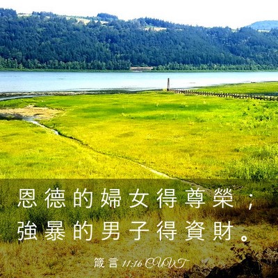 Picture 03 - 箴 言 11:16 CUVT - 恩 德 的 婦 女 得 尊 榮 ； 強 暴 的 - Bible Verse Picture