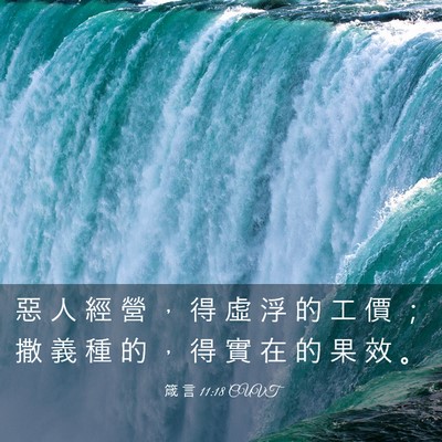 Picture 03 - 箴 言 11:18 CUVT - 惡 人 經 營 ， 得 虛 浮 的 工 價 ； - Bible Verse Picture