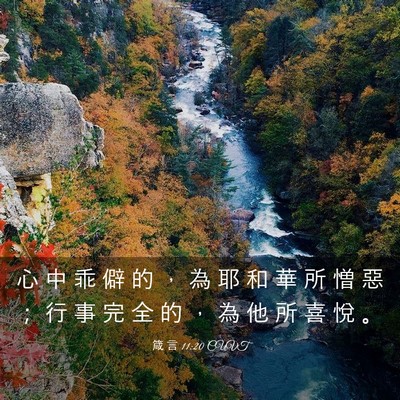 Picture 03 - 箴 言 11:20 CUVT - 心 中 乖 僻 的 ， 為 耶 和 華 所 憎 - Bible Verse Picture
