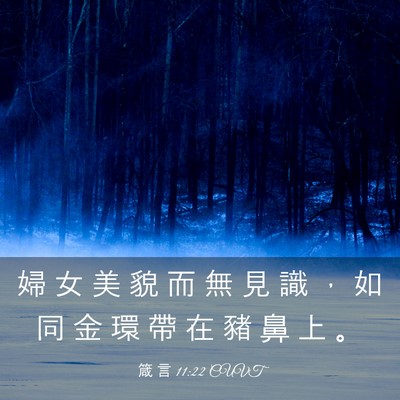 Picture 03 - 箴 言 11:22 CUVT - 婦 女 美 貌 而 無 見 識 ， 如 同 金 - Bible Verse Picture