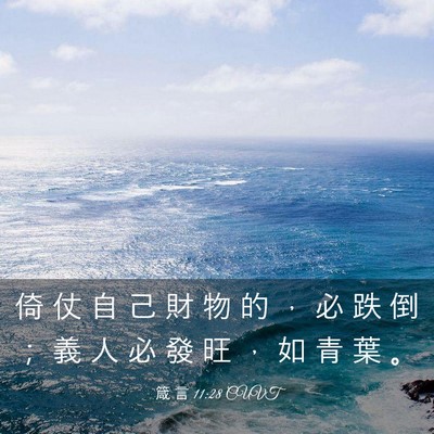 Picture 03 - 箴 言 11:28 CUVT - 倚 仗 自 己 財 物 的 ， 必 跌 倒 ； - Bible Verse Picture