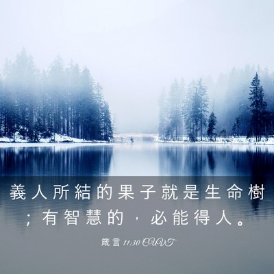 Picture 03 - 箴 言 11:30 CUVT - 義 人 所 結 的 果 子 就 是 生 命 樹 - Bible Verse Picture