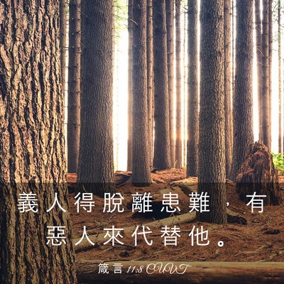 Picture 03 - 箴 言 11:8 CUVT - 義 人 得 脫 離 患 難 ， 有 惡 人 來 - Bible Verse Picture