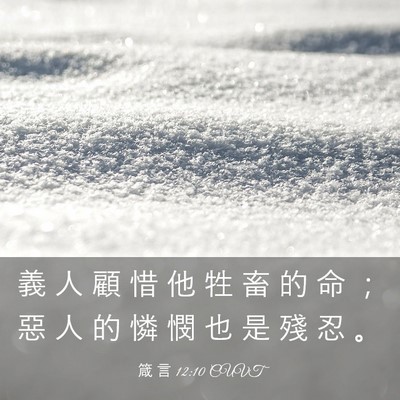 Picture 03 - 箴 言 12:10 CUVT - 義 人 顧 惜 他 牲 畜 的 命 ； 惡 人 - Bible Verse Picture