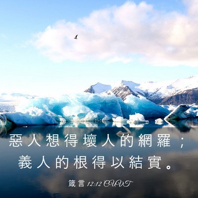 Picture 03 - 箴 言 12:12 CUVT - 惡 人 想 得 壞 人 的 網 羅 ； 義 人 - Bible Verse Picture