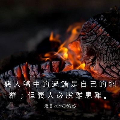 Picture 03 - 箴 言 12:13 CUVT - 惡 人 嘴 中 的 過 錯 是 自 己 的 網 - Bible Verse Picture