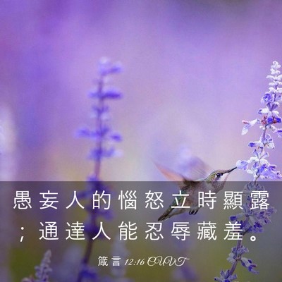 Picture 03 - 箴 言 12:16 CUVT - 愚 妄 人 的 惱 怒 立 時 顯 露 ； 通 - Bible Verse Picture