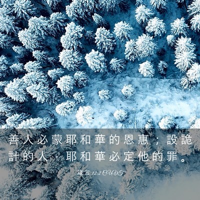 Picture 03 - 箴 言 12:2 CUVT - 善 人 必 蒙 耶 和 華 的 恩 惠 ； 設 - Bible Verse Picture