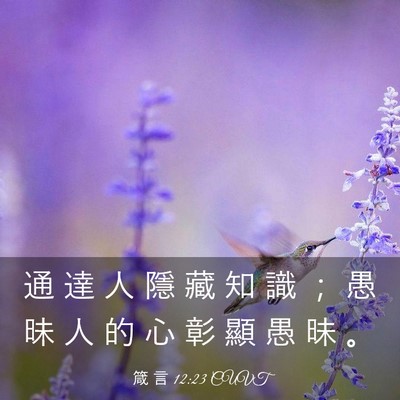 Picture 03 - 箴 言 12:23 CUVT - 通 達 人 隱 藏 知 識 ； 愚 昧 人 的 - Bible Verse Picture