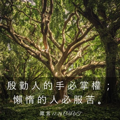 Picture 03 - 箴 言 12:24 CUVT - 殷 勤 人 的 手 必 掌 權 ； 懶 惰 的 - Bible Verse Picture