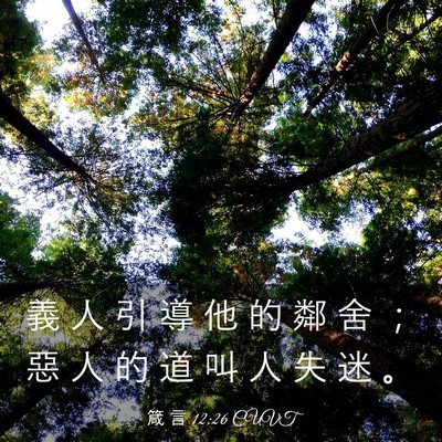 Picture 03 - 箴 言 12:26 CUVT - 義 人 引 導 他 的 鄰 舍 ； 惡 人 的 - Bible Verse Picture