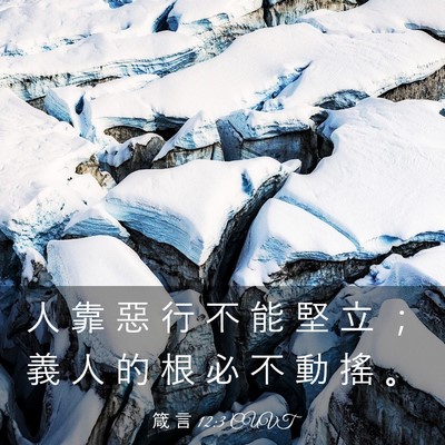 Picture 03 - 箴 言 12:3 CUVT - 人 靠 惡 行 不 能 堅 立 ； 義 人 的 - Bible Verse Picture