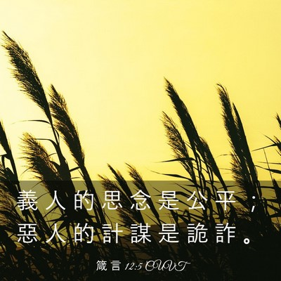 Picture 03 - 箴 言 12:5 CUVT - 義 人 的 思 念 是 公 平 ； 惡 人 的 - Bible Verse Picture