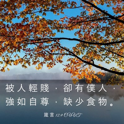 Picture 03 - 箴 言 12:9 CUVT - 被 人 輕 賤 ， 卻 有 僕 人 ， 強 如 - Bible Verse Picture