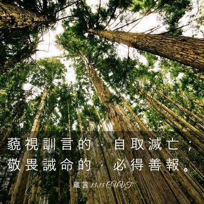 Picture 03 - 箴 言 13:13 CUVT - 藐 視 訓 言 的 ， 自 取 滅 亡 ； 敬 - Bible Verse Picture