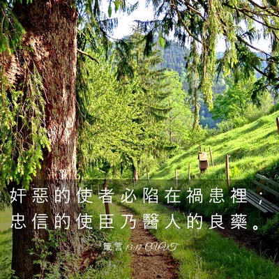 Picture 03 - 箴 言 13:17 CUVT - 奸 惡 的 使 者 必 陷 在 禍 患 裡 ； - Bible Verse Picture