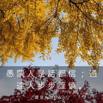 Picture 03 - 箴 言 14:15 CUVT - 愚 蒙 人 是 話 都 信 ； 通 達 人 步 - Bible Verse Picture
