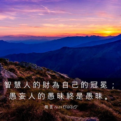 Picture 03 - 箴 言 14:24 CUVT - 智 慧 人 的 財 為 自 己 的 冠 冕 ； - Bible Verse Picture