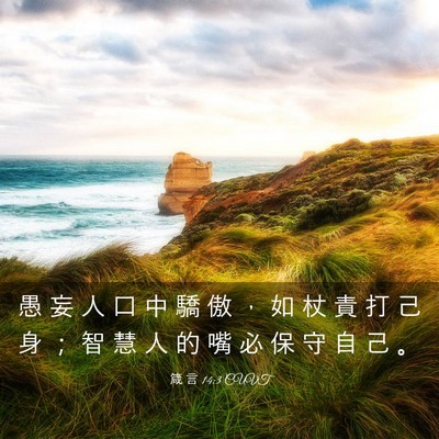 Picture 03 - 箴 言 14:3 CUVT - 愚 妄 人 口 中 驕 傲 ， 如 杖 責 打 - Bible Verse Picture