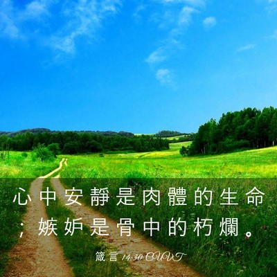 Picture 03 - 箴 言 14:30 CUVT - 心 中 安 靜 是 肉 體 的 生 命 ； 嫉 - Bible Verse Picture
