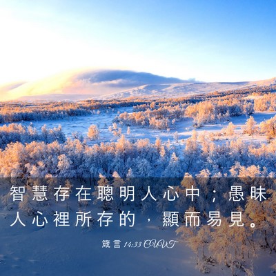 Picture 03 - 箴 言 14:33 CUVT - 智 慧 存 在 聰 明 人 心 中 ； 愚 昧 - Bible Verse Picture
