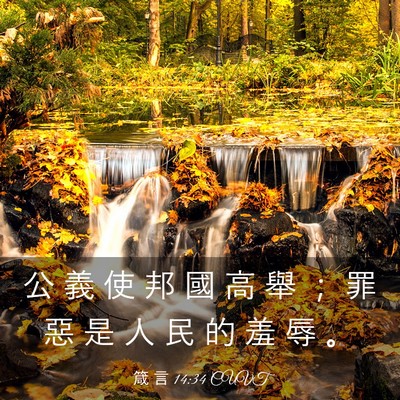 Picture 03 - 箴 言 14:34 CUVT - 公 義 使 邦 國 高 舉 ； 罪 惡 是 人 - Bible Verse Picture
