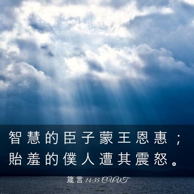 Picture 03 - 箴 言 14:35 CUVT - 智 慧 的 臣 子 蒙 王 恩 惠 ； 貽 羞 - Bible Verse Picture