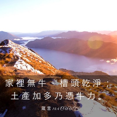 Picture 03 - 箴 言 14:4 CUVT - 家 裡 無 牛 ， 槽 頭 乾 淨 ； 土 產 - Bible Verse Picture
