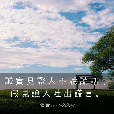 Picture 03 - 箴 言 14:5 CUVT - 誠 實 見 證 人 不 說 謊 話 ； 假 見 - Bible Verse Picture