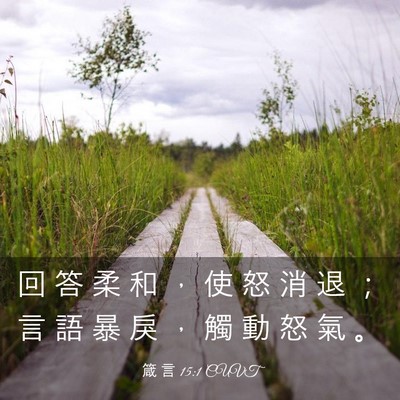 Picture 03 - 箴 言 15:1 CUVT - 回 答 柔 和 ， 使 怒 消 退 ； 言 語 - Bible Verse Picture