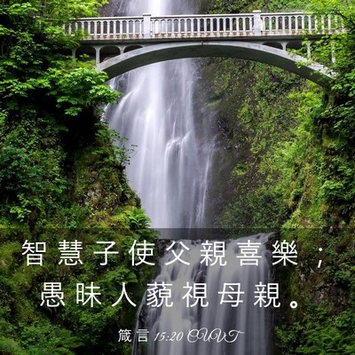 Picture 03 - 箴 言 15:20 CUVT - 智 慧 子 使 父 親 喜 樂 ； 愚 昧 人 - Bible Verse Picture