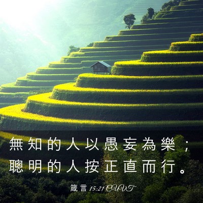 Picture 03 - 箴 言 15:21 CUVT - 無 知 的 人 以 愚 妄 為 樂 ； 聰 明 - Bible Verse Picture