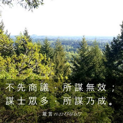 Picture 03 - 箴 言 15:22 CUVT - 不 先 商 議 ， 所 謀 無 效 ； 謀 士 - Bible Verse Picture