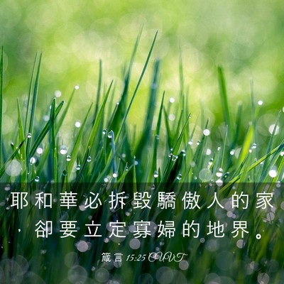Picture 03 - 箴 言 15:25 CUVT - 耶 和 華 必 拆 毀 驕 傲 人 的 家 ， - Bible Verse Picture